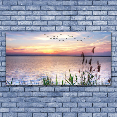 Obraz na skle Moře Ptáci Nebe Krajina