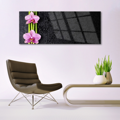 Obraz na skle Bambus Květ Rostlina Příroda