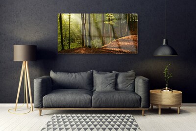 Obraz na skle Les Stromy Příroda
