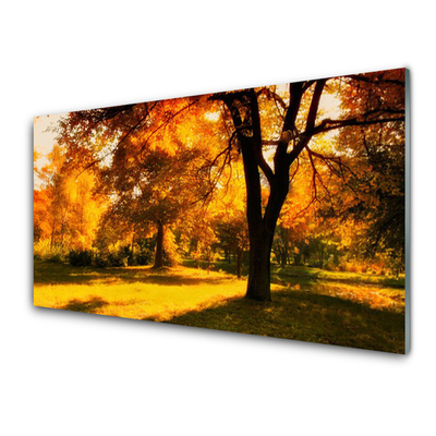 Obraz na skle Stromy Podzim Příroda