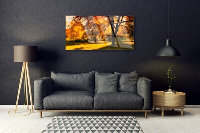 Obraz na skle Stromy Podzim Příroda