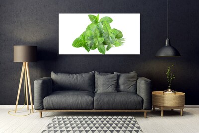 Obraz na skle Máta Rostlina Příroda