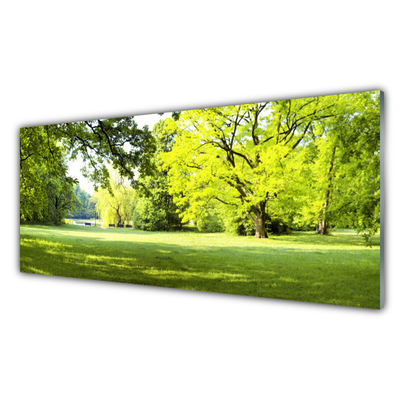 Obraz na skle Tráva Stromy Park Příroda