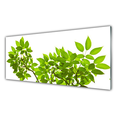 Obraz na skle Větev Listy Rostlina Příroda