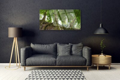 Obraz na skle Stromy Rostlina Příroda