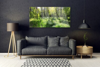 Obraz na skle Les Tráva Rostlina Příroda