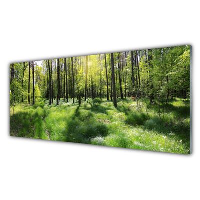 Obraz na skle Les Tráva Rostlina Příroda