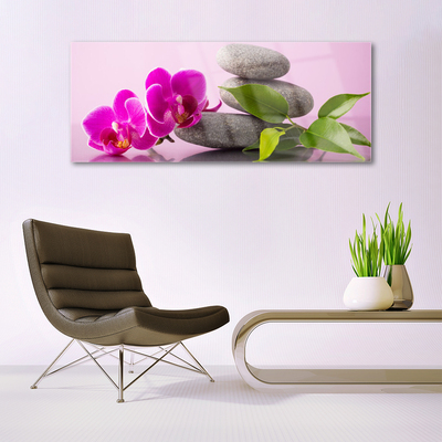 Obraz na skle Květ Kameny Zen Rostlina