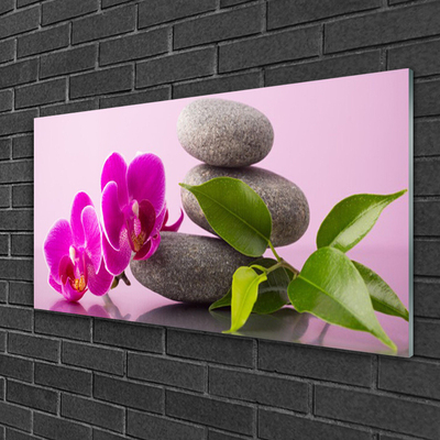 Obraz na skle Květ Kameny Zen Rostlina