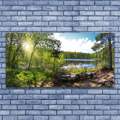 Obraz na skle Les Stromy Jezero Příroda