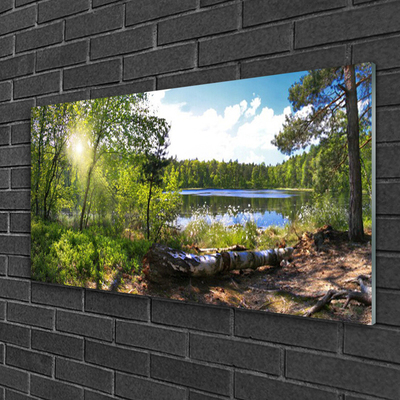 Obraz na skle Les Stromy Jezero Příroda