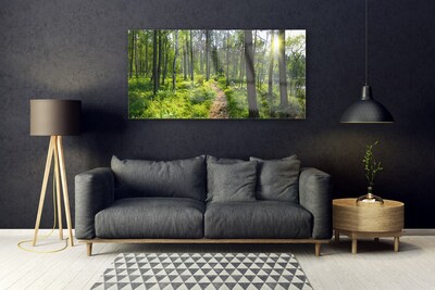 Obraz na skle Les Stezka Cestička Příroda