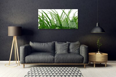 Obraz na skle Tráva Rostlina Příroda