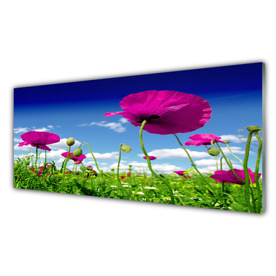 Obraz na skle Louka Květiny Nebe Příroda