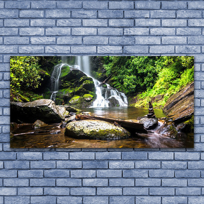 Obraz na skle Vodopád Kameny Les Příroda