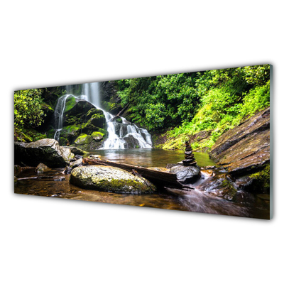 Obraz na skle Vodopád Kameny Les Příroda