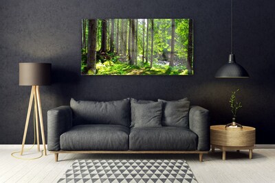 Obraz na skle Les Stromy Rostlina Příroda