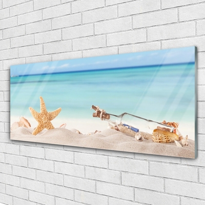 Obraz na skle Hvězdice Mušle Pláž