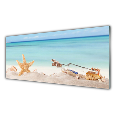 Obraz na skle Hvězdice Mušle Pláž