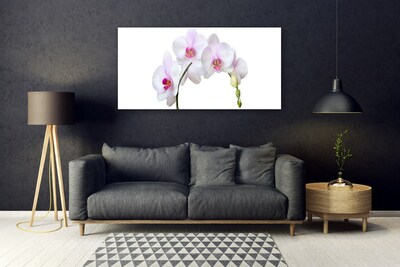 Obraz na skle Vstavač Orchidej Květiny