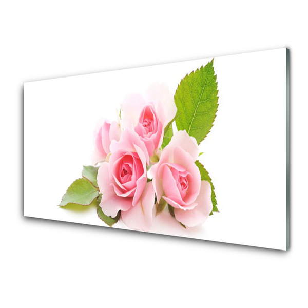 Obraz na skle Růže Květiny Příroda
