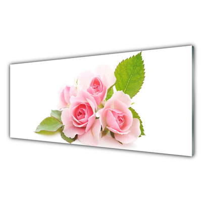 Obraz na skle Růže Květiny Příroda