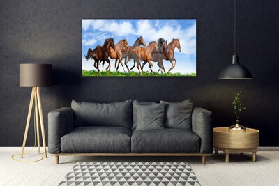 Obraz na skle Cválající Koně na Pastvině