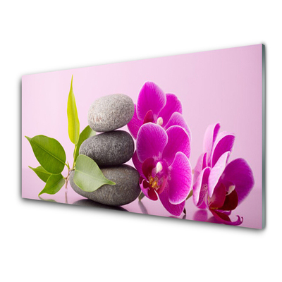 Obraz na skle Orchidej Vstavač Kameny