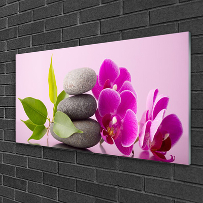 Obraz na skle Orchidej Vstavač Kameny