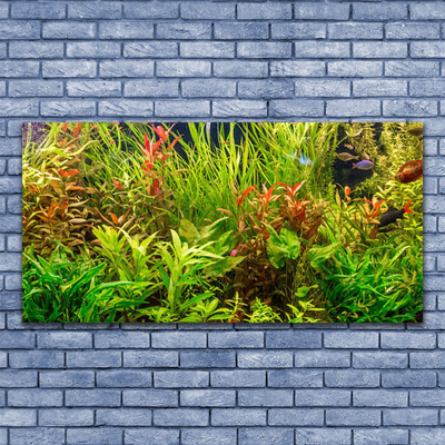 Obraz na skle Akvárium Rybičky Rostliny