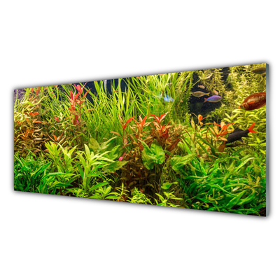 Obraz na skle Akvárium Rybičky Rostliny