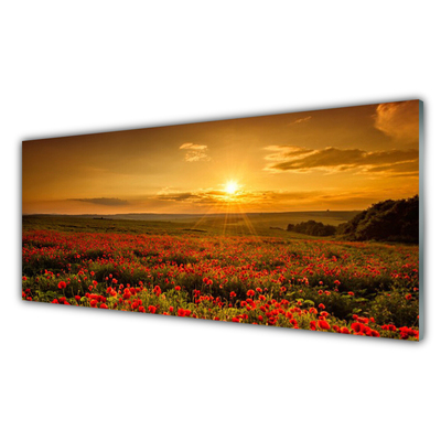 Obraz na skle Pole Máky Západ Slunce Louka