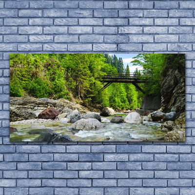 Obraz na skle Dřevěný Most v Lese