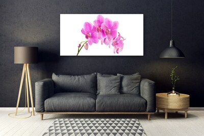 Obraz na skle Vstavač Květ Orchidej