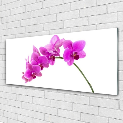 Obraz na skle Vstavač Květ Orchidej