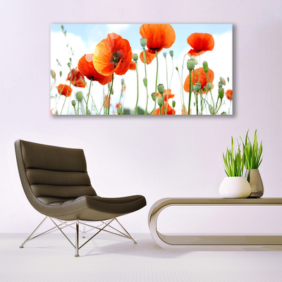 Obraz na skle Květiny Máky Louka Pole Příroda