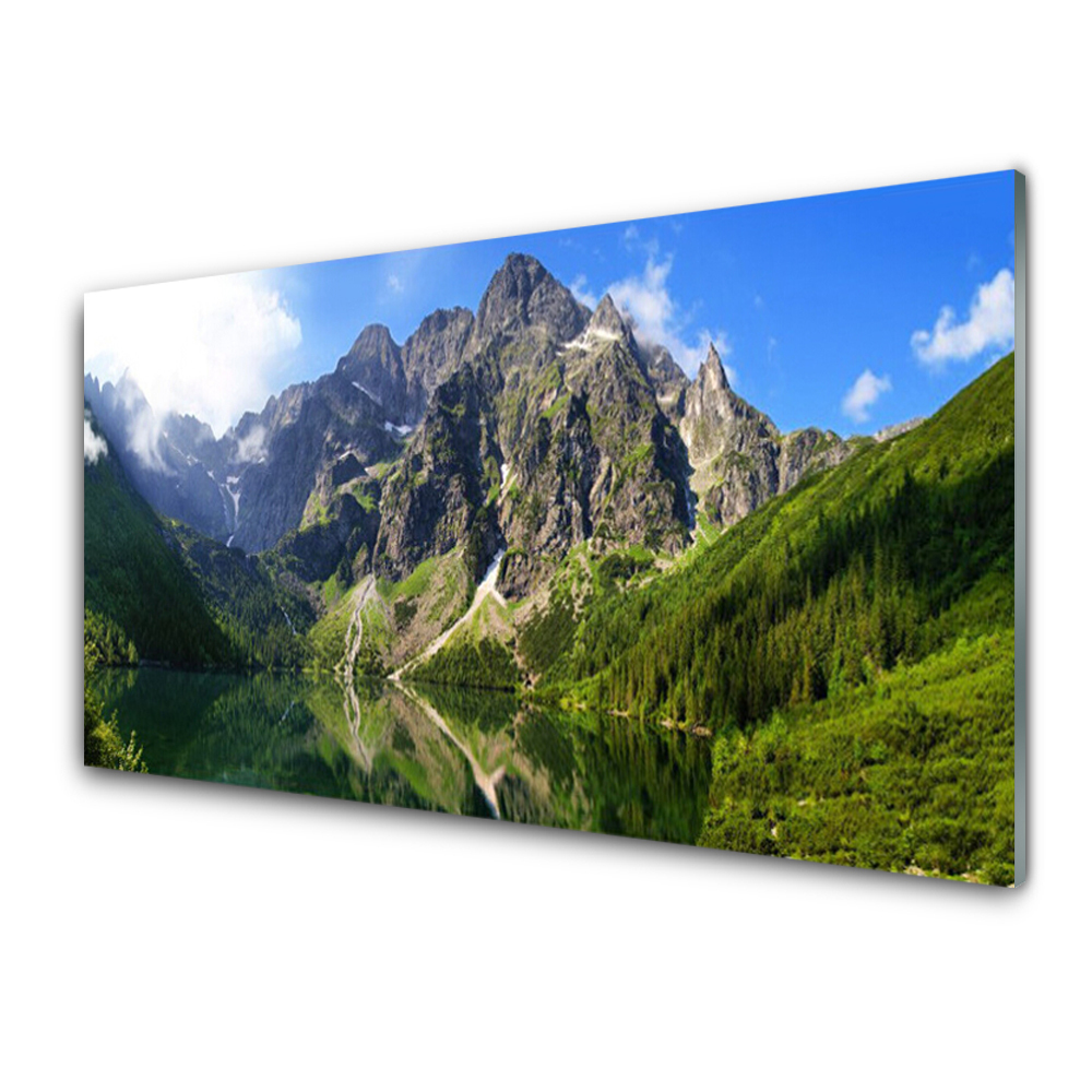 Obraz na skle Tatry Hory Mořské Oko Les