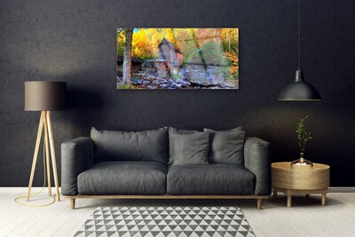 Obraz na skle Vodní Mlýn Podzimní Les