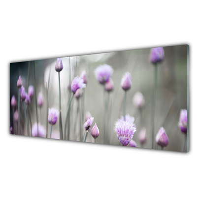 Obraz na skle Polní Květiny Louka Příroda