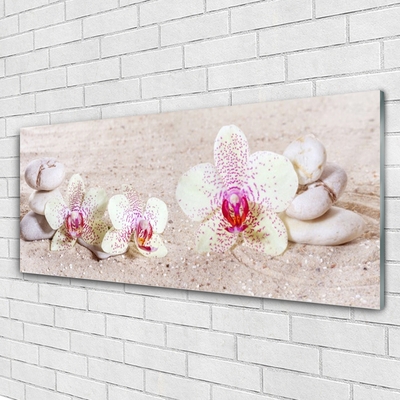 Obraz na skle Orchidej Kameny Zen Písek