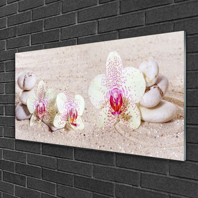 Obraz na skle Orchidej Kameny Zen Písek