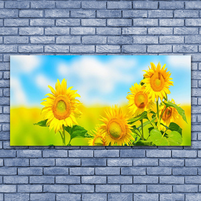 Obraz na skle Slunečnice Květiny Příroda