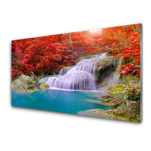 Obraz na skle Podzimní Vodopád Les