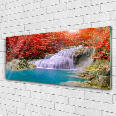 Obraz na skle Podzimní Vodopád Les