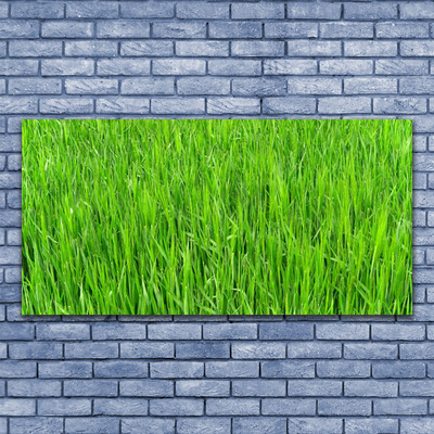 Obraz na skle Zelená Tráva Příroda Trávník