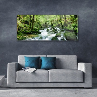 Obraz na skle Les Potok Vodopády Řeka