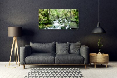 Obraz na skle Les Potok Vodopády Řeka