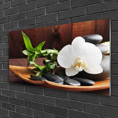 Obraz na skle Kameny Zen Bílá Orchidej