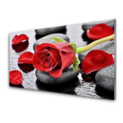 Obraz na skle Růže Květ Kameny Zen