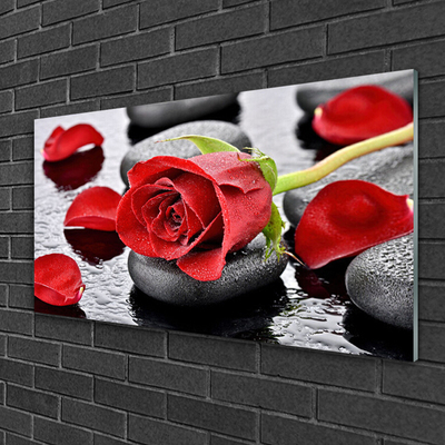 Obraz na skle Růže Květ Kameny Zen